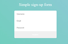 simple form